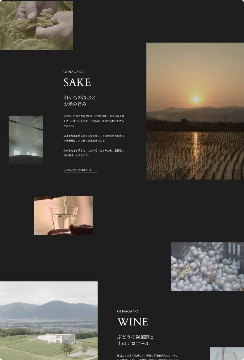 実績|GI長野