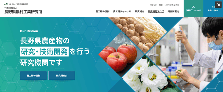 実績ブログ
