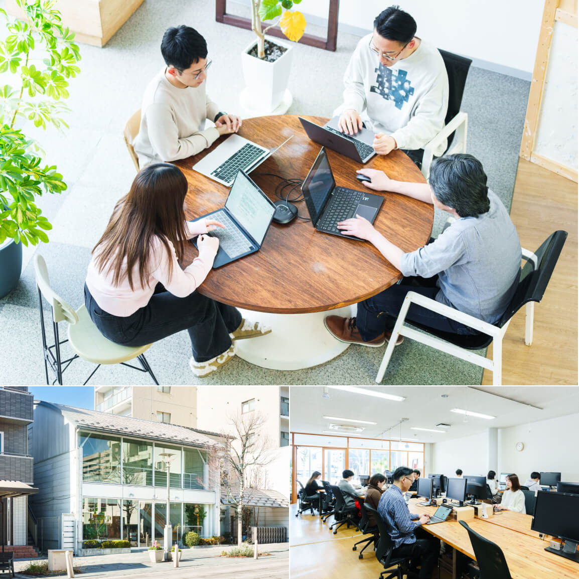 pic_director_recruit_01